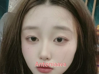 Antoniaava