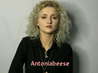 Antoniabeese