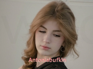 Antoniabufkin