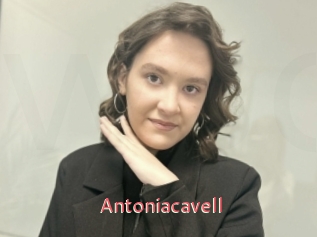 Antoniacavell