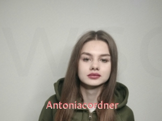 Antoniacordner
