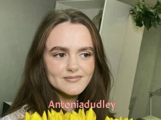 Antoniadudley