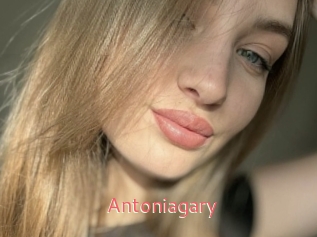 Antoniagary