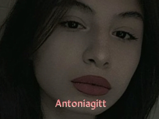 Antoniagitt