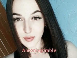 Antoniagrimble