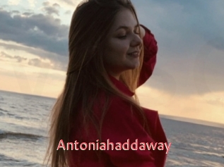 Antoniahaddaway