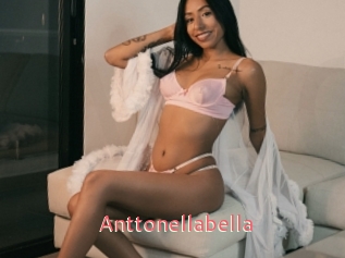 Anttonellabella