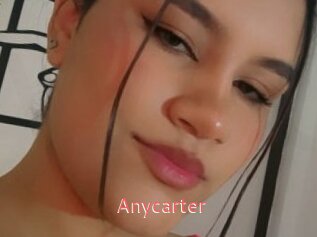 Anycarter