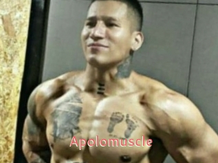 Apolomuscle
