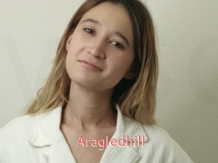 Aragledhill