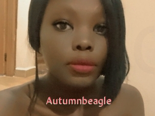 Autumnbeagle