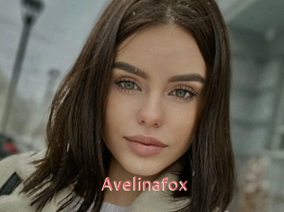 Avelinafox