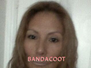 BANDACOOT