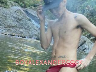 BOYALEXANDERCOCK