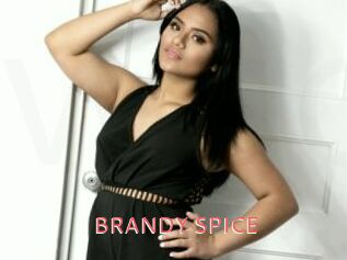 BRANDY_SPICE