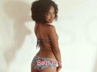 Bad_Kitty_