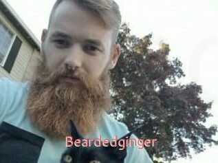 Beardedginger