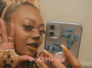 BigTitMonaje