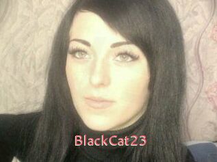 BlackCat23