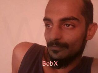 BobX