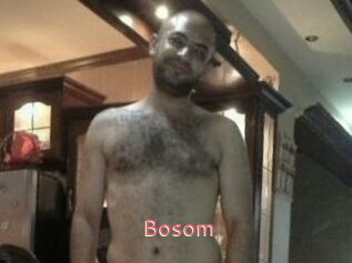 Bosom