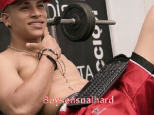 Boysensualhard