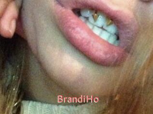 BrandiHo