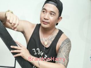 BrandonHarry Webcam Sexe Direct
