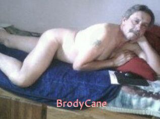 Brody_Cane