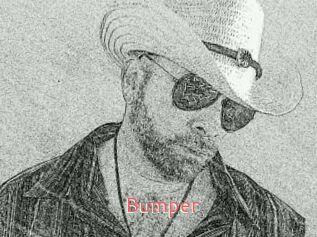 Bumper
