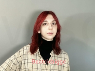Beatrixbigge