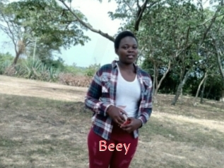 Beey