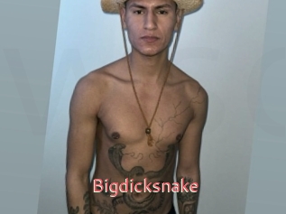 Bigdicksnake
