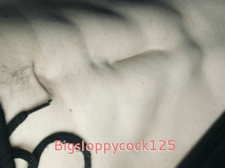 Bigsloppycock125