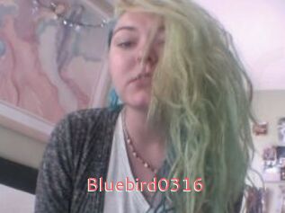 Bluebird0316