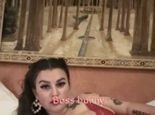 Boss_bunny