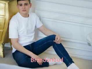 Brandonbud