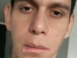 Brandonsex01