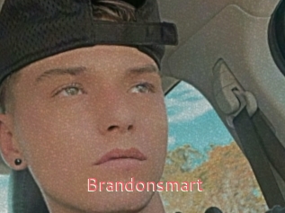 Brandonsmart