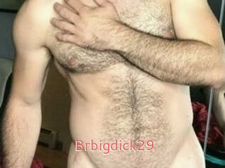 Brbigdick29