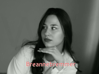 Breannebremmer