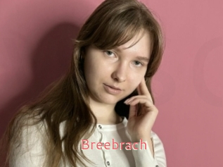 Breebrach