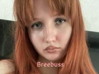 Breebuss