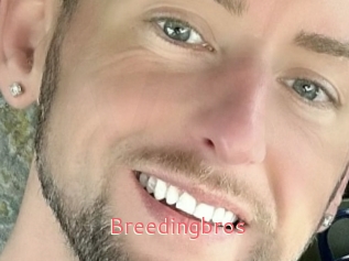 Breedingbros