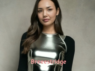 Breeestridge