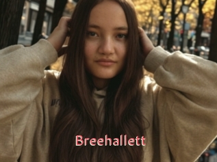 Breehallett