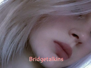 Bridgetalkins