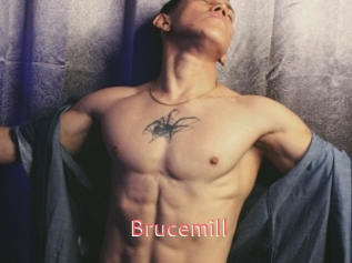 Brucemill
