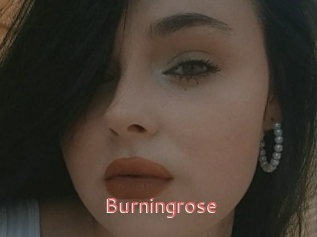 Burningrose
