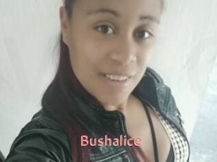 Bushalice